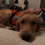 willow porter - @golden.willowporter - Instagram