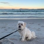Willow Powell - @willowpowell08 - Instagram