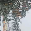 willow - @willow.powers - TikTok