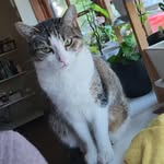 willow - @willow_pratt.kildey - Instagram
