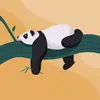 willow price - @willow.price2 - TikTok