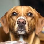 Willow Price - @wilkyprice - Instagram