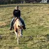 willow price - @willow.price7 - TikTok