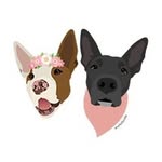 Willow & Quinn 🐶 - @willow.and.quinn - Instagram