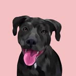 Willow Quinn - @willowquinn_thestaffweiler - Instagram