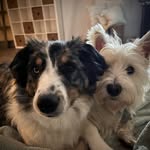 Willow+Quinn - @willowandquinn - Instagram