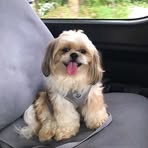 Willow Ramos - Facebook
