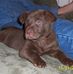 willow ray - Facebook