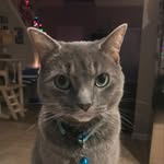 Willow Ray - @willow_.ray - Instagram