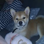 Willow Reeves - @willowreeves2021 - Instagram