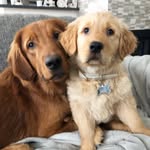 Willow & Atticus Riddle - @willowandatticus - Instagram