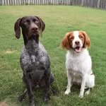 Willow & Riggs Roberts - @willowandriggs_ - Instagram
