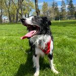 Willow Rivera - @will.owbc - Instagram