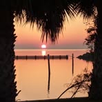 Willow Robbins - Facebook