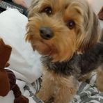 Willow Roberts - Facebook