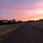 Willow Roberts - Facebook