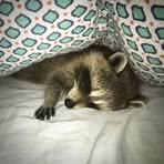 Willow Rodgers - Facebook