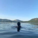 willow rogerson - @willowrogerson - Instagram