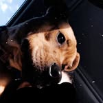 Willow Ross - @willow_bear00 - Instagram