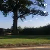 willow - @xx.willowross - TikTok