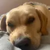 willow.ross - @willow.ross - TikTok