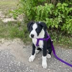 Willow Roy - @willow_of_chez_roy - Instagram