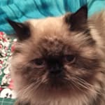 Willow Ann Rush - @willow_rush - Instagram