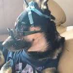 Willow Ryan - @willow.ryan.378 - Instagram