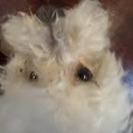 Willow Sanchez - Facebook