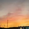 Willow sanchez - @willow.sanchez71 - TikTok
