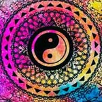 Willow Schmidt - @w.i.l.l.o.w13 - Instagram
