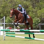 Willow Schmidt - @equinewiz - Instagram