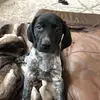 Willow_schmidt - @willow_schmidt - TikTok