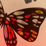 Margaret Smith - @willowschroeder92024 - Instagram