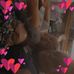 Willow Seward - Facebook