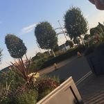Willow Shaw - @willow_shaw1 - Instagram