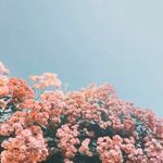 Willowmckennashaw - @willow_.shaw - Instagram