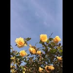 Willow Wood - @willow_simone009 - Instagram