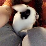 Willow Simpson - @olliexindy - Instagram