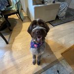 Willow Simpson - @willowpicklesimpson - Instagram