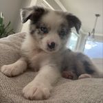 Jamie Singleton - @willow.blue.singleton - Instagram