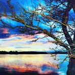Willow Skinner - Facebook