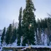willowsnyder7 - @willowsnyder7 - TikTok