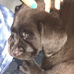 Willow Stein - @willow_stein - Instagram