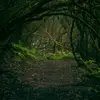 willowstevenson3 - @willowstevenson3 - TikTok