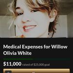 steven & Lisa White - @willowstrong2020 - Instagram