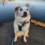 Willow B. Strong - @littlemisswillowb - Instagram