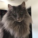 Willow Strong - @willowstrong_ - Instagram