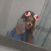 Willow - @willow.sutherland - TikTok