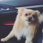 Willow Swanson - @xwillow_swansonx - Instagram